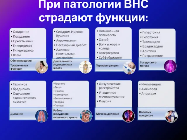 При патологии ВНС страдают функции: