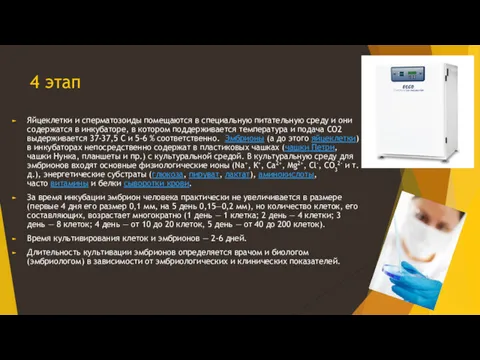 4 этап Яйцеклетки и сперматозоиды помещаются в специальную питательную среду