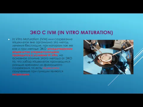 ЭКО С IVM (IN VITRO MATURATION) In Vitro Maturation (IVM)