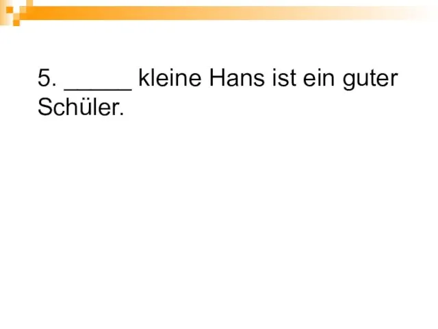 5. _____ kleine Hans ist ein guter Schüler.