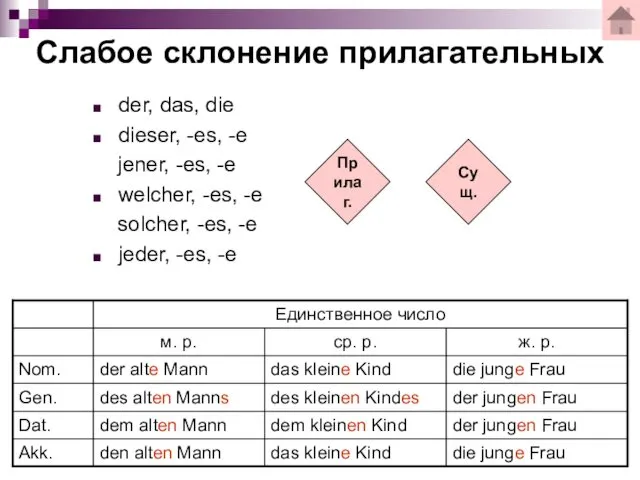 der, das, die dieser, -es, -e jener, -es, -e welcher,