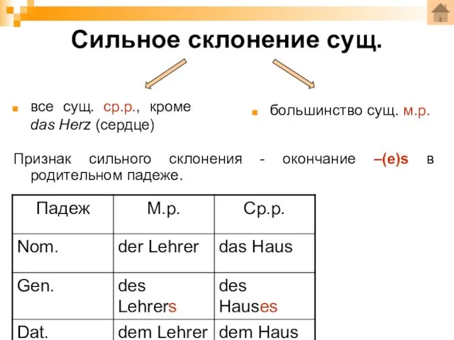 Сильное склонение сущ. все сущ. ср.р., кроме das Herz (сердце)