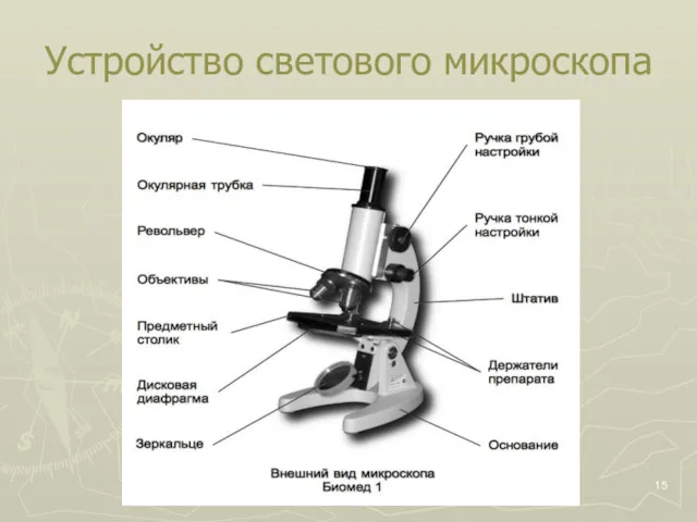 Устройство светового микроскопа