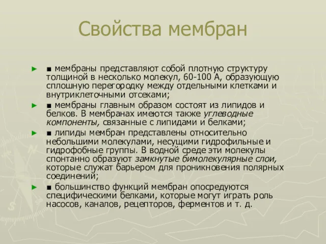 Свойства мембран ■ мембраны представляют собой плотную структуру толщиной в