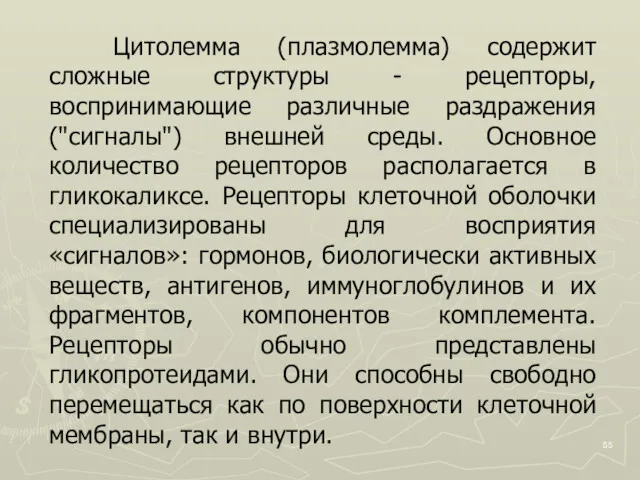 Цитолемма (плазмолемма) содержит сложные структуры - рецепторы, воспринимающие различные раздражения