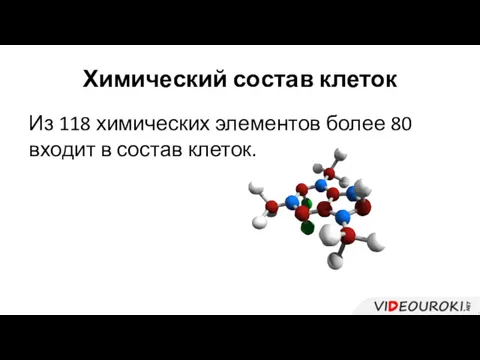 Химический состав клеток Из 118 химических элементов более 80 входит в состав клеток.