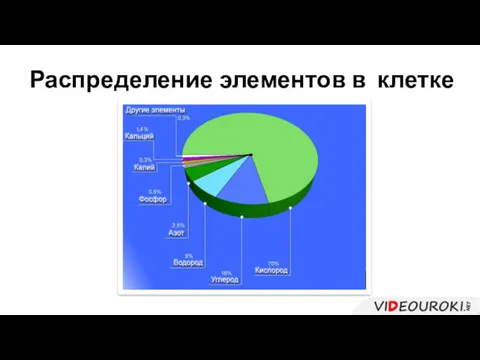 Распределение элементов в клетке