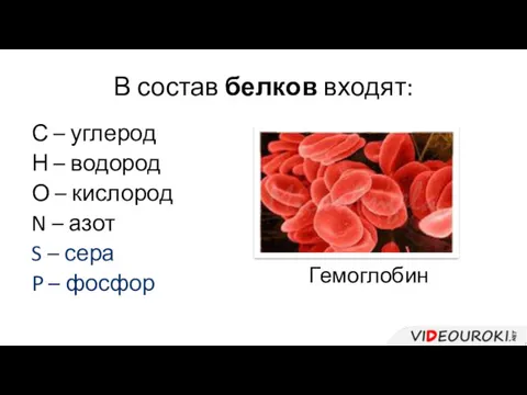 В состав белков входят: С – углерод Н – водород