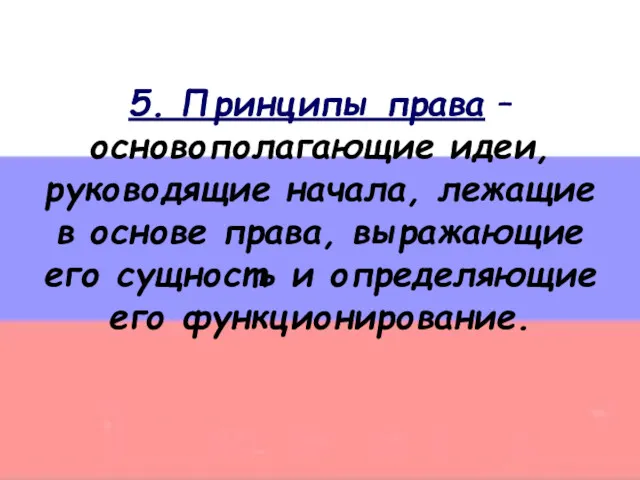 5. Принципы права – основополагающие идеи, руководящие начала, лежащие в