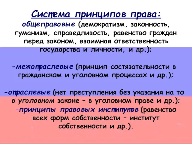 Система принципов права: общеправовые (демократизм, законность, гуманизм, справедливость, равенство граждан