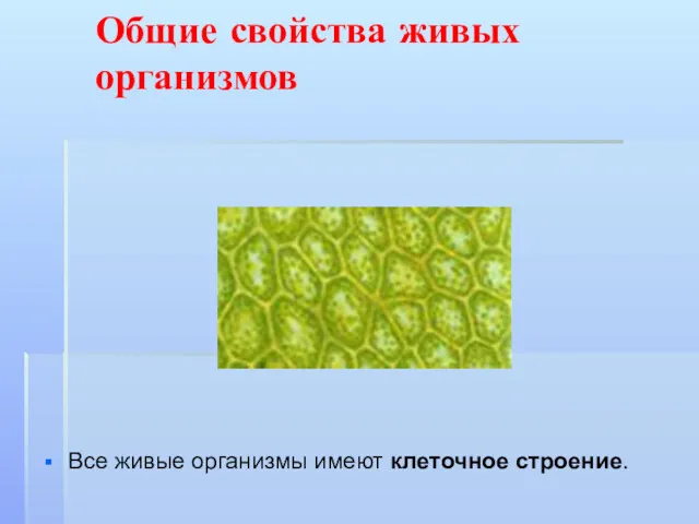 Общие свойства живых организмов Все живые организмы имеют клеточное строение.