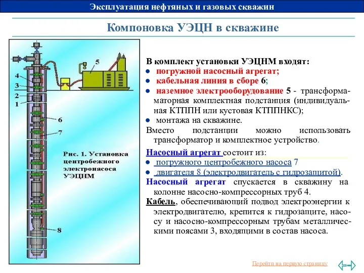 Компоновка УЭЦН в скважине В комплект установки УЭЦНМ входят: погружной