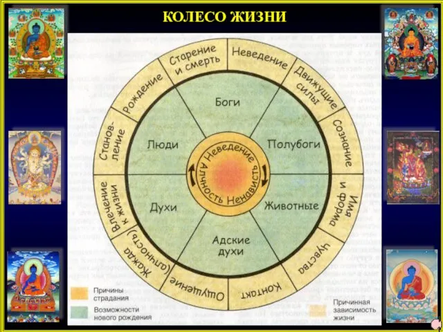 КОЛЕСО ЖИЗНИ 11