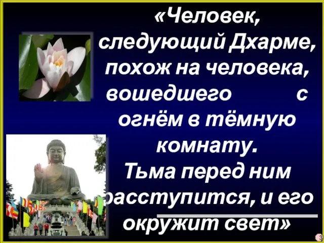 «Человек, следующий Дхарме, похож на человека, вошедшего с огнём в