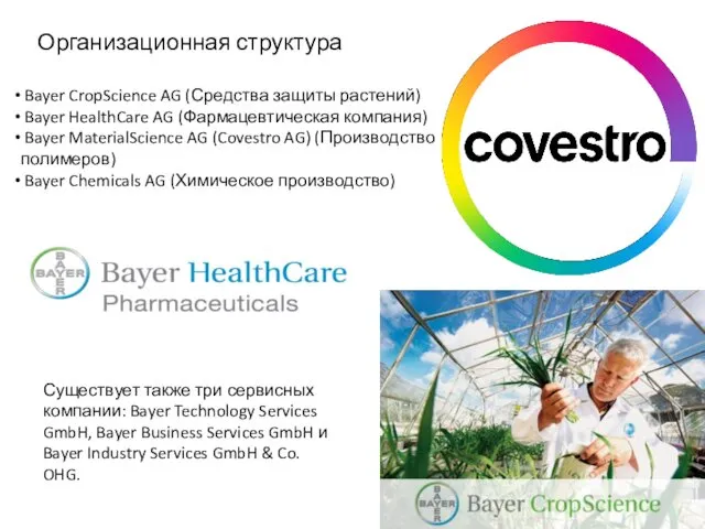 Организационная структура Bayer CropScience AG (Средства защиты растений) Bayer HealthCare
