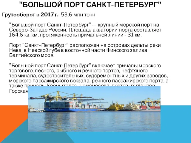 Грузооборот в 2017 г.: 53,6 млн тонн "Большой порт Санкт-Петербург"