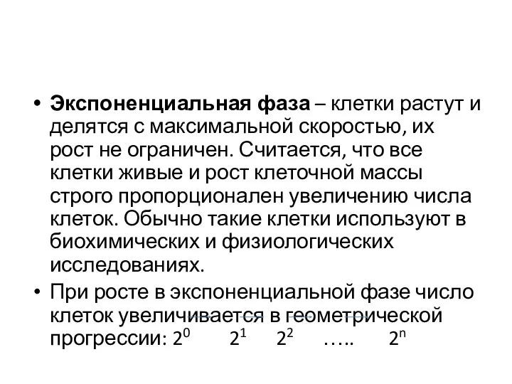 Экспоненциальная фаза – клетки растут и делятся с максимальной скоростью, их рост не