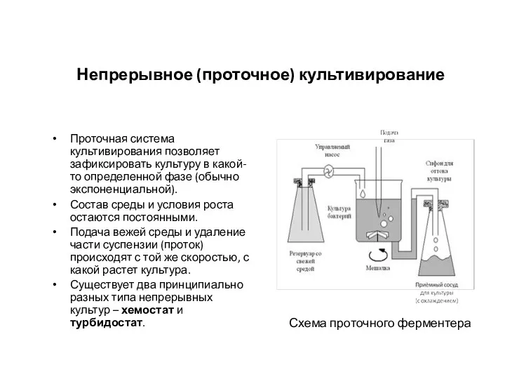 Непрерывное (проточное) культивирование Проточная система культивирования позволяет зафиксировать культуру в какой-то определенной фазе