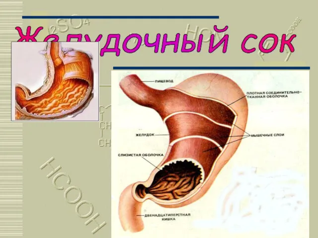 Москва 2002 Желудочный сок