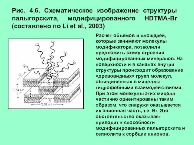 Рис. 4.6. Схематическое изображение структуры палыгорскита, модифицированного HDTMA-Br (составлено по