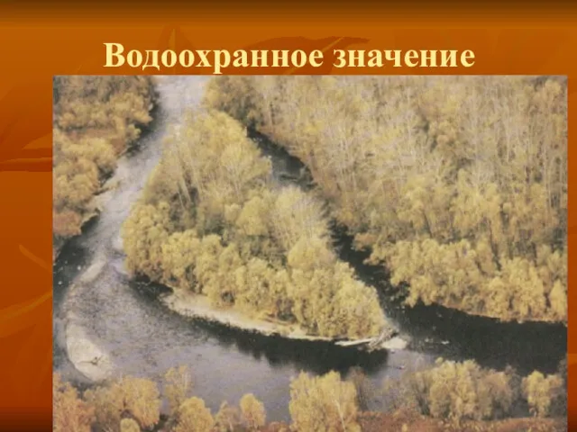 Водоохранное значение