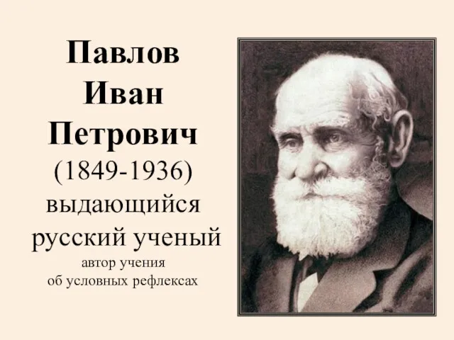 Павлов Иван Петрович (1849-1936) выдающийся русский ученый автор учения об условных рефлексах