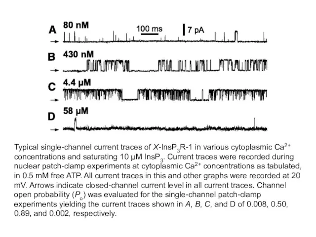 Typical single-channel current traces of X-InsP3R-1 in various cytoplasmic Ca2+