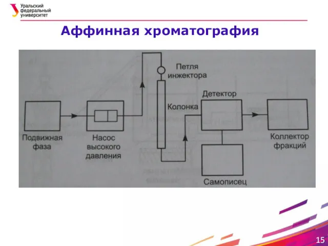 Аффинная хроматография