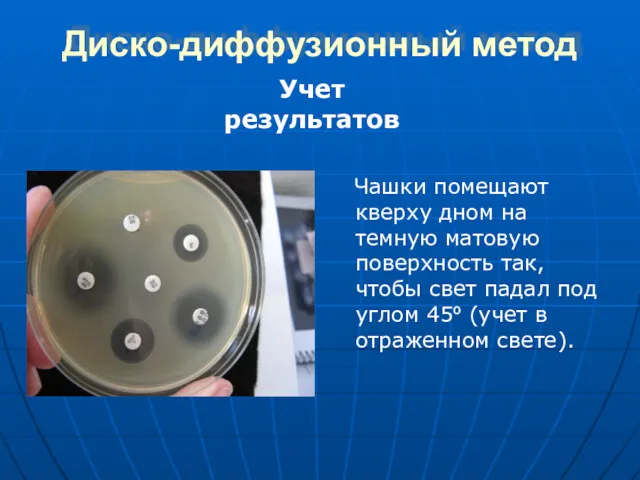 Диско-диффузионный метод Чашки помещают кверху дном на темную матовую поверхность