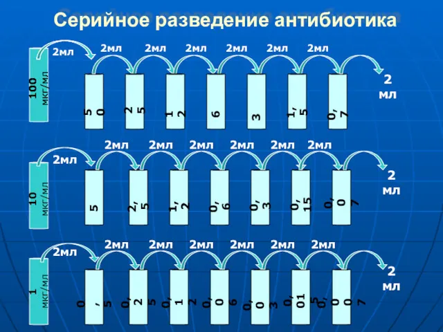 Серийное разведение антибиотика 100 мкг/мл 50 25 12 6 3