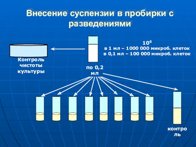 Внесение суспензии в пробирки с разведениями 106 в 1 мл