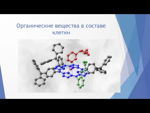 Органические вещества в составе клетки