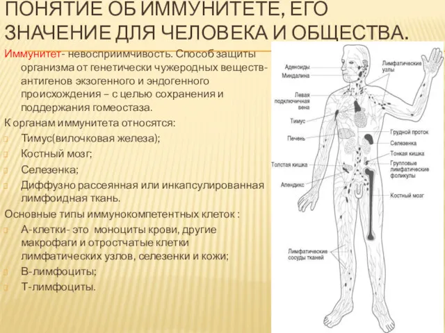 ПОНЯТИЕ ОБ ИММУНИТЕТЕ, ЕГО ЗНАЧЕНИЕ ДЛЯ ЧЕЛОВЕКА И ОБЩЕСТВА. Иммунитет-