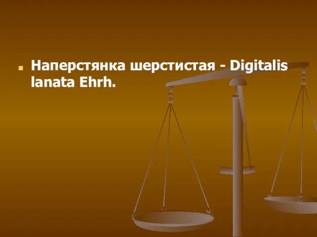 Наперстянка шерстистая - Digitalis lanata Ehrh.