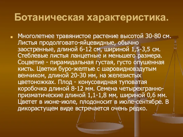 Ботаническая характеристика. Многолетнее травянистое растение высотой 30-80 см. Листья продолговато-яйцевидные,