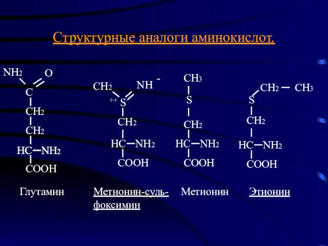 Структурные аналоги аминокислот. Глутамин Метионин-суль- фоксимин Метионин Этионин