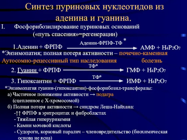 Синтез пуриновых нуклеотидов из аденина и гуанина. Фосфорибозилирование пуриновых оснований