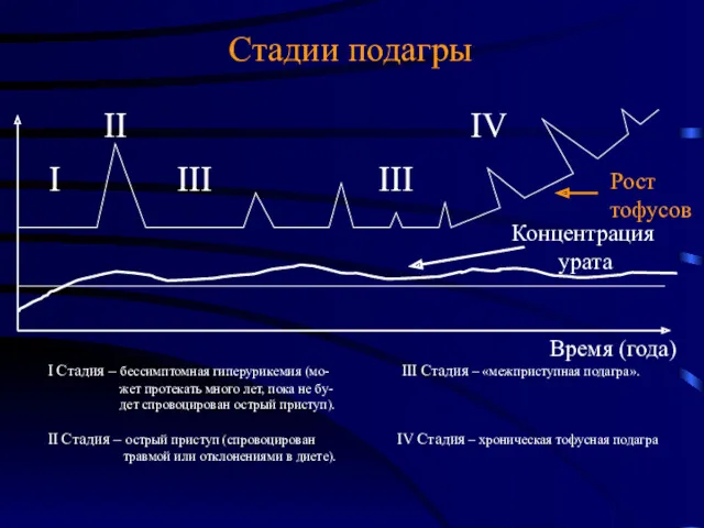 Стадии подагры I Стадия – бессимптомная гиперурикемия (мо- III Стадия