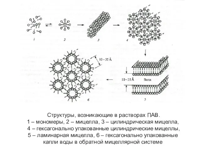 Структуры, возникающие в растворах ПАВ. 1 – мономеры, 2 –