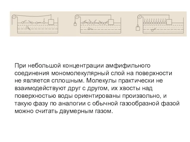 При небольшой концентрации амфифильного соединения мономолекулярный слой на поверхности не