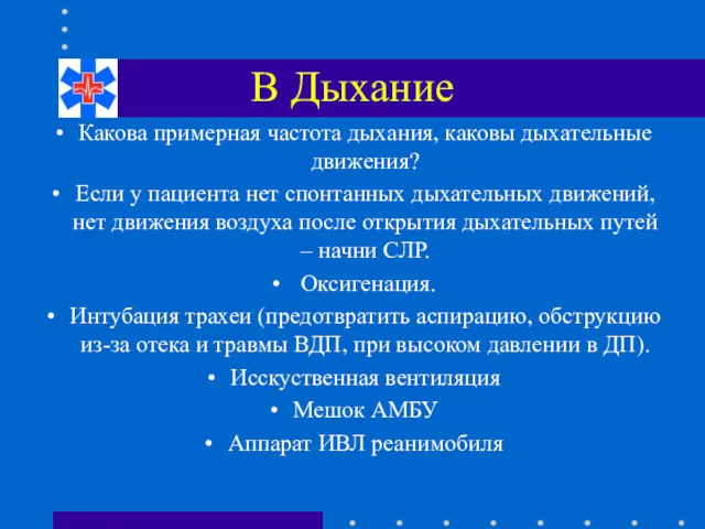 B Дыхание Какова примерная частота дыхания, каковы дыхательные движения? Если