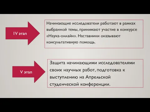 Начинающие исследователи работают в рамках выбранной темы, принимают участие в