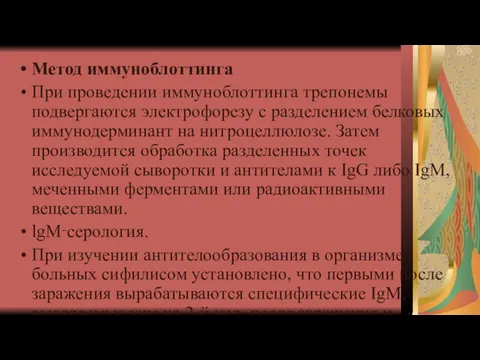 Метод иммуноблоттинга При проведении иммуноблоттинга трепонемы подвергаются электрофорезу с разделением