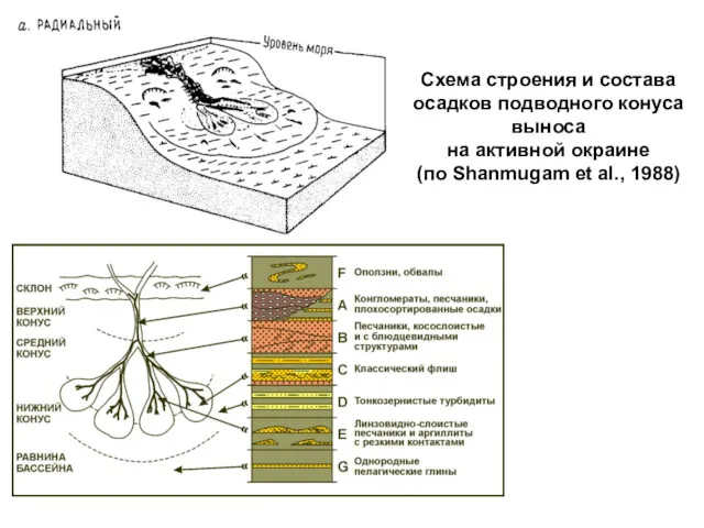 Схема строения и состава осадков подводного конуса выноса на активной окраине (по Shanmugam et al., 1988)