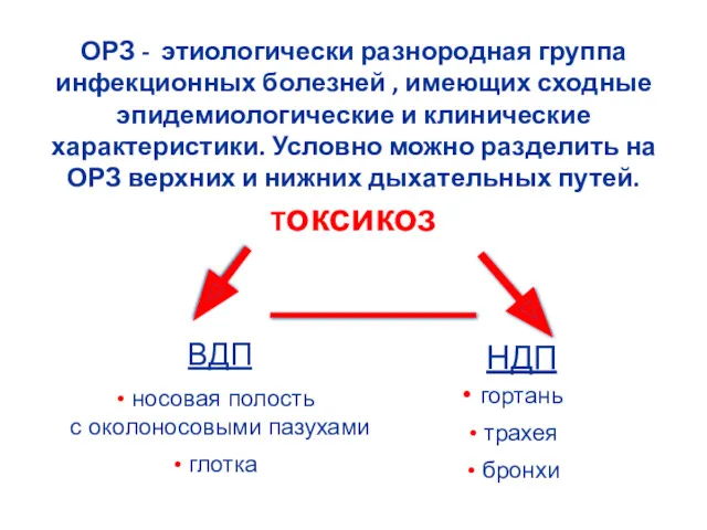 ОРЗ - этиологически разнородная группа инфекционных болезней , имеющих сходные