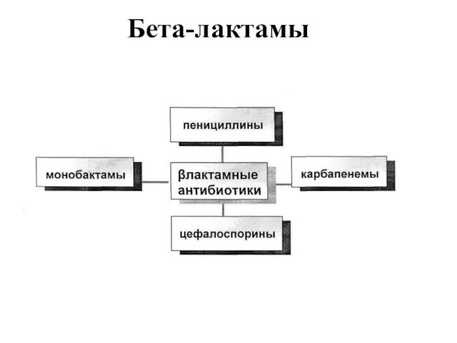 Бета-лактамы