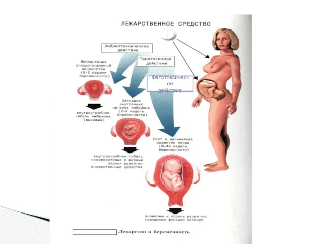 Фетотоксическое действие