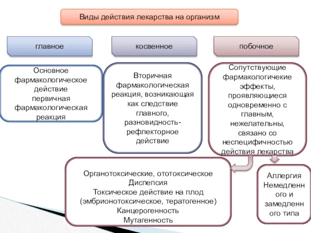 Виды действия лекарства на организм главное побочное косвенное Основное фармакологическое