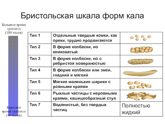 Бристольская шкала форм кала Большое время транзита (100 часов) Короткое время транзита (10 часов)