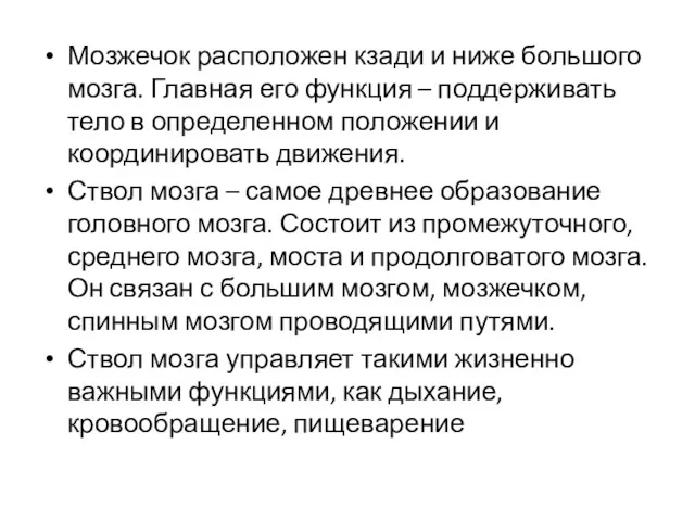 Мозжечок расположен кзади и ниже большого мозга. Главная его функция